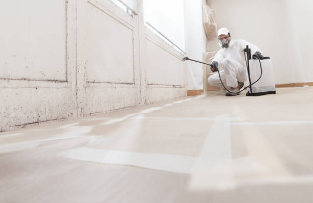 24/7 Emergency Bathroom Mold Removal experts in Lexington, MA